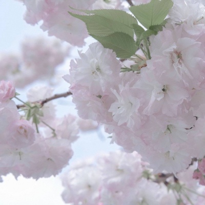 北屯福瑞交流群